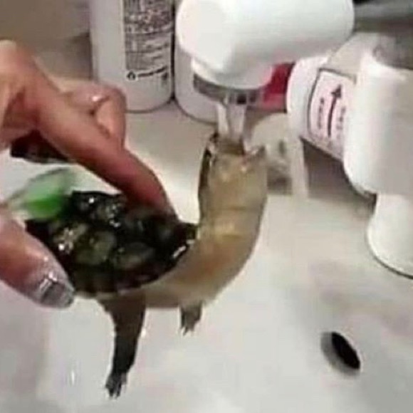 Meet your Posher, Joshua - Picture 1 of 1